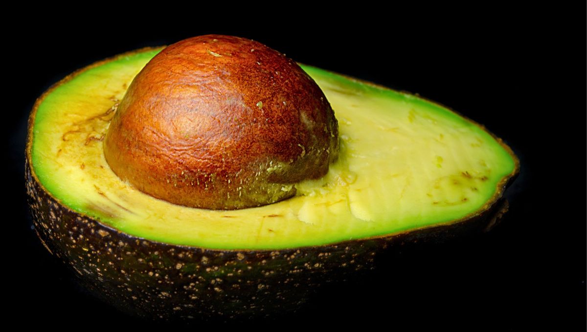 El carozo de palta puede ser beneficioso en la tierra del limonero.&nbsp;
