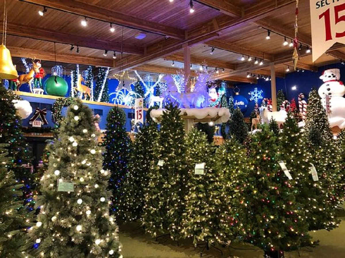 No faltaán los árboles de Navidad en esta sucursal. No faltaán los árboles de Navidad en esta sucursal.