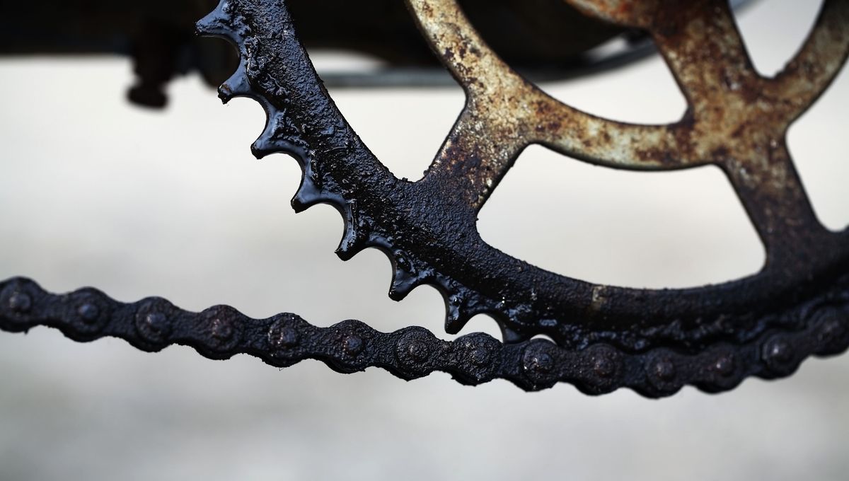 Cómo limpiar la cadena de la bicicleta y eliminar el exceso de grasa: con un truco casero