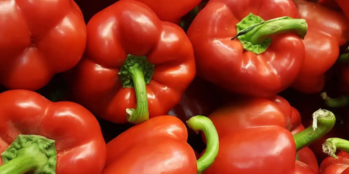 Beneficio de comer pimiento morrón, poderosa fuente de vitamina C.