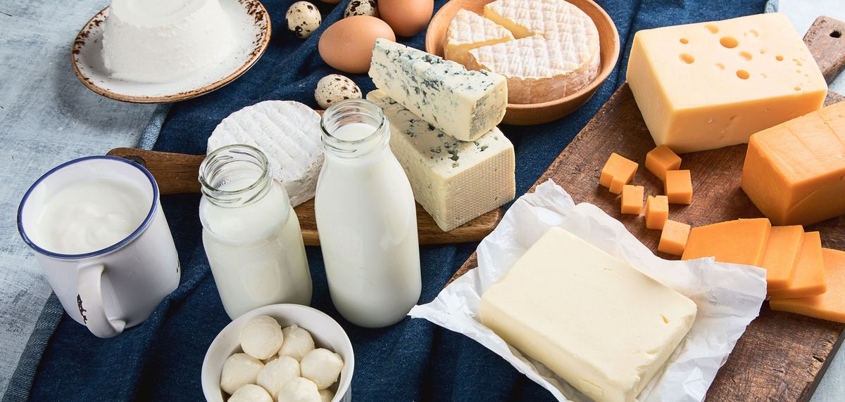 El estudio dio definiciones sobre lo saludable que es tomar leche y comer queso.