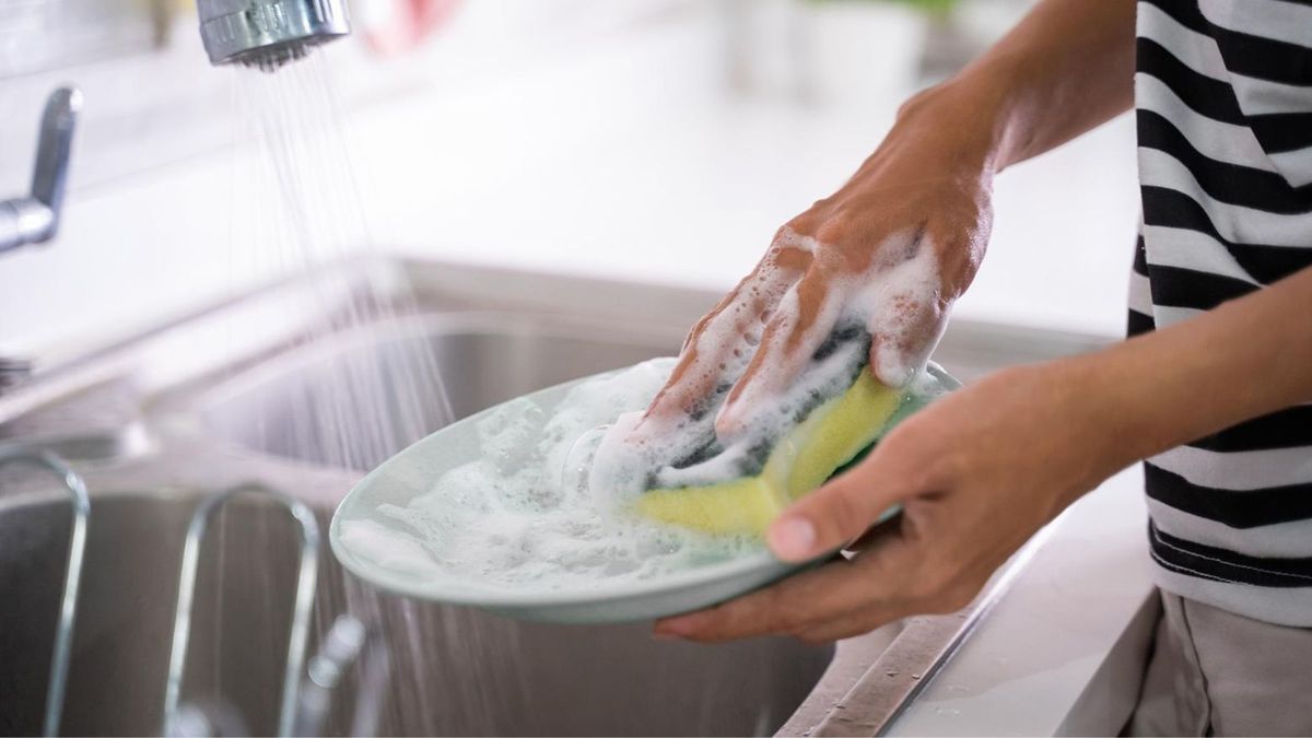 Estudio revela cada cuánto hay que cambiar la esponja de lavar los platos: la respuesta te sorprenderá Estudio revela cada cuánto hay que cambiar la esponja de lavar los platos: la respuesta te sorprenderá