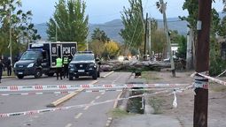 El Zonda provocó la caída de un árbol en Las Heras, que aplastó a un motociclista. El joven murió en el lugar. El Zonda provocó la caída de un árbol en Las Heras, que aplastó a un motociclista. El joven murió en el lugar.