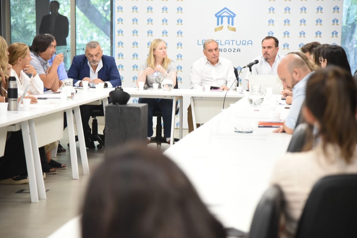 La vicegobernadora Hebe Casado junto al legislador Abel Freidemberg y Manuel Vilapriño en la reunión de la Bicameral de Salud. La vicegobernadora Hebe Casado junto al legislador Abel Freidemberg y Manuel Vilapriño en la reunión de la Bicameral de Salud.