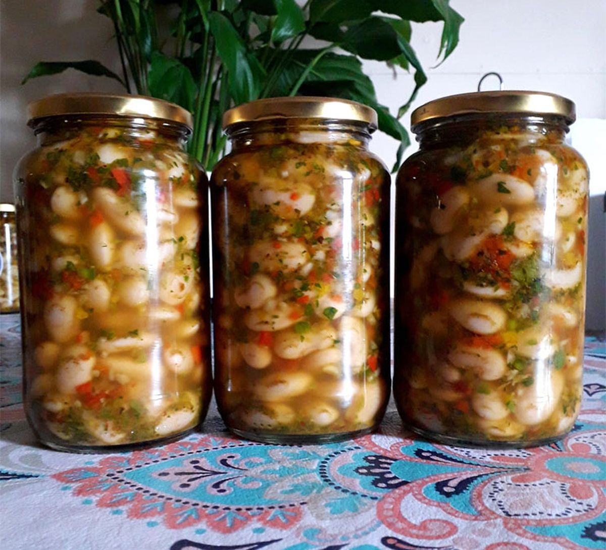Es muy fácil hacer esta receta de porotos en escabeche. Es muy fácil hacer esta receta de porotos en escabeche.