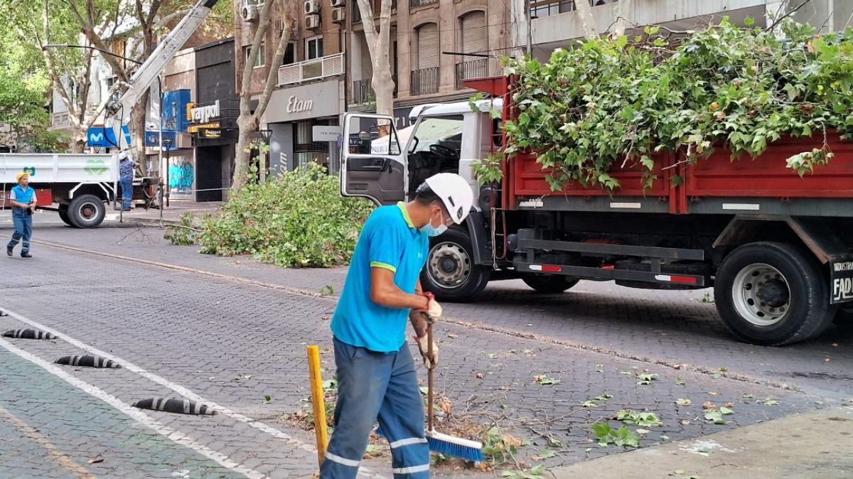 El poco tránsito del feriado favoreció las tareas de desrame en calle San Martín. Y la foto es actual, a pesar del barbijo del empleado municipal. El poco tránsito del feriado favoreció las tareas de desrame en calle San Martín. Y la foto es actual, a pesar del barbijo del empleado municipal.