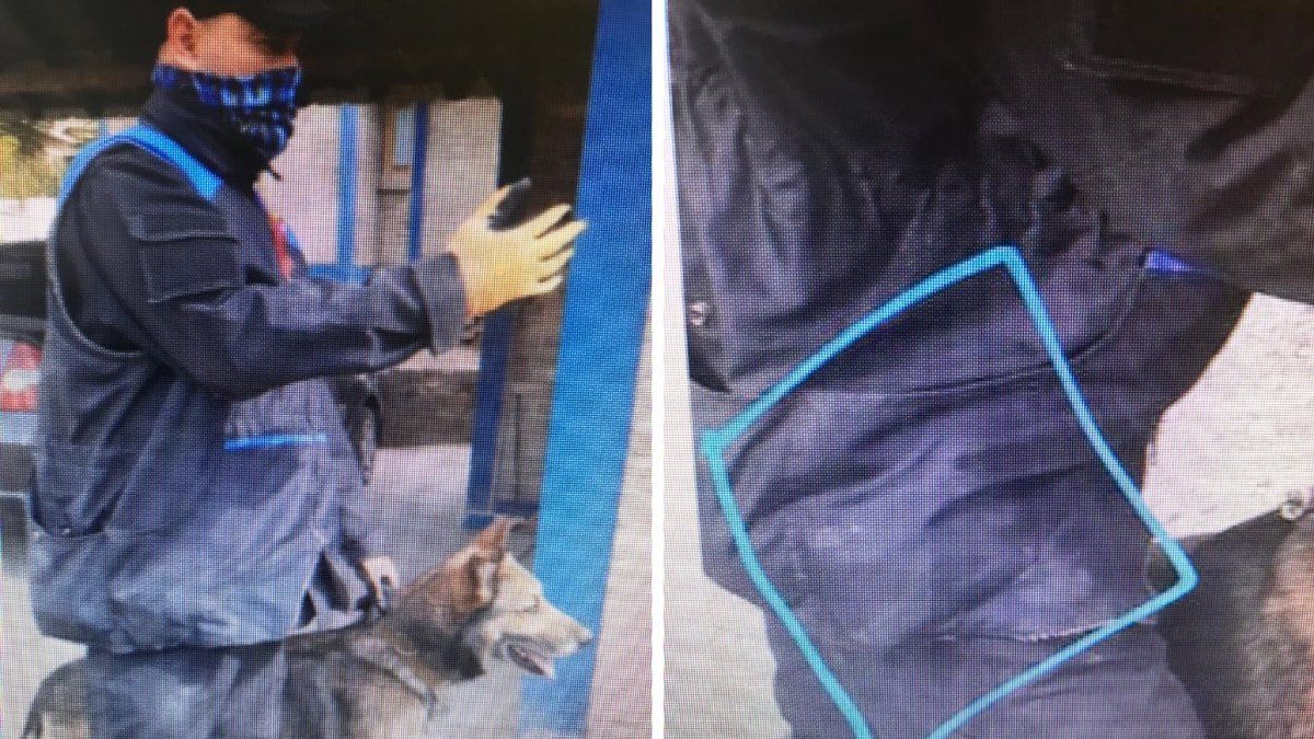 El bulto que se ve en un video donde Marcos Herrero escondía las pruebas que plantó.