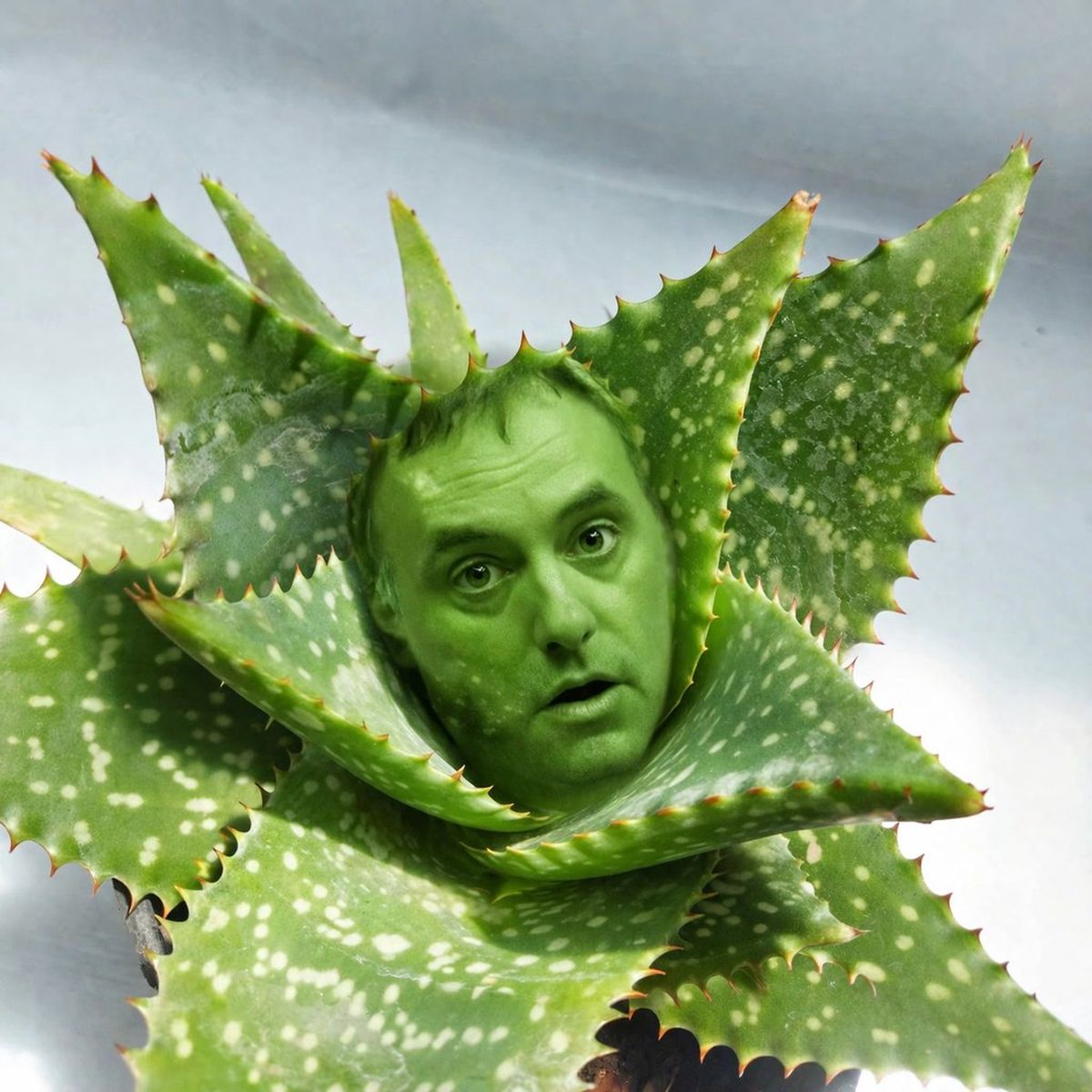 Otro de los memes sobre Manuel Adorni que dice que es como el aloe vera: cada vez le encuentran más propiedades. Otro de los memes sobre Manuel Adorni que dice que es como el aloe vera: cada vez le encuentran más propiedades.