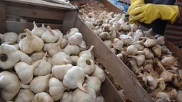 Su poder logístico, sus bajos costos y su capacidad exportadora consolidan al ajo como una herramienta económica y estratégica dentro de su influencia global. Su poder logístico, sus bajos costos y su capacidad exportadora consolidan al ajo como una herramienta económica y estratégica dentro de su influencia global.