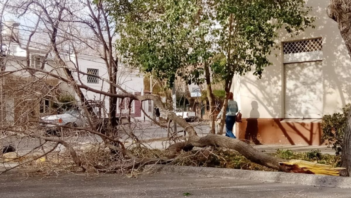 El pronóstico del tiempo anticipó un fenómeno de viento Zonda y rige una alerta amarilla