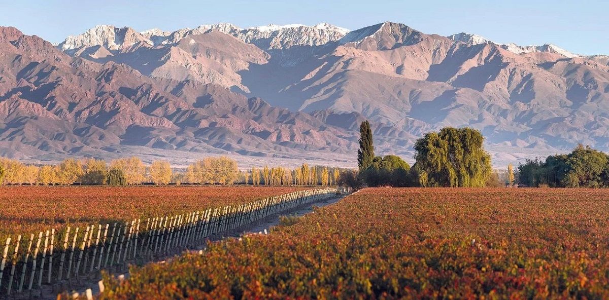 El sábado 15 de octubre se realizará una caminata saludable por “Los Caminos del Vino”