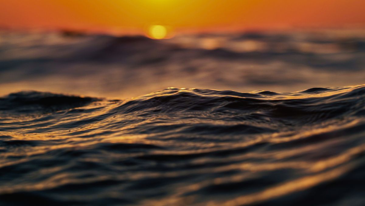 Cinco gigantes de agua que sostienen nuestro planeta Cinco gigantes de agua que sostienen nuestro planeta
