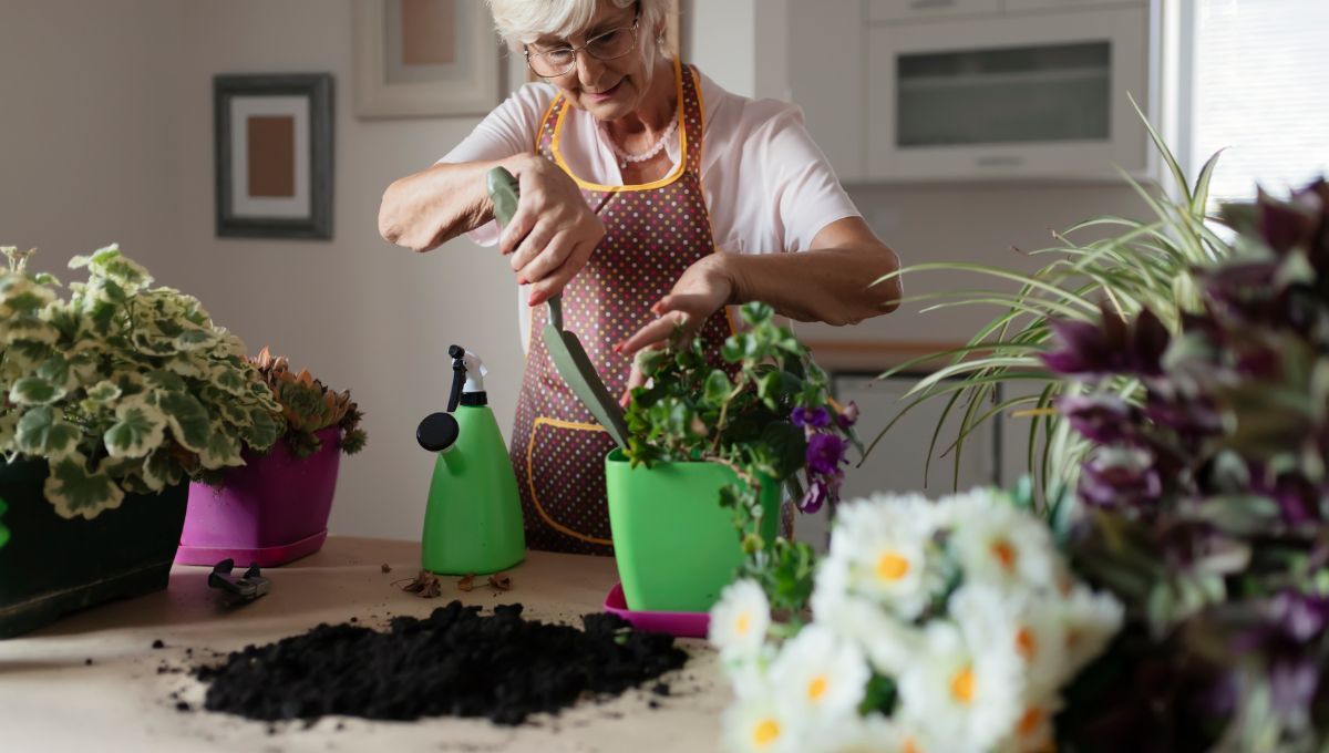 El truco de abuela para que se enraicen bien las plantas