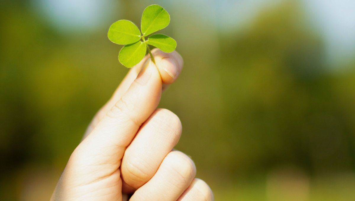 Cuida tu energ&iacute;a este viernes 13 usando tu amuleto de la suerte.