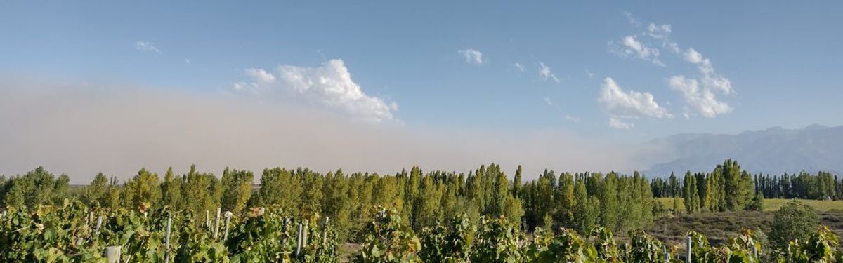 El viento puede traer muchas cosas no deseadas. El viento puede traer muchas cosas no deseadas.