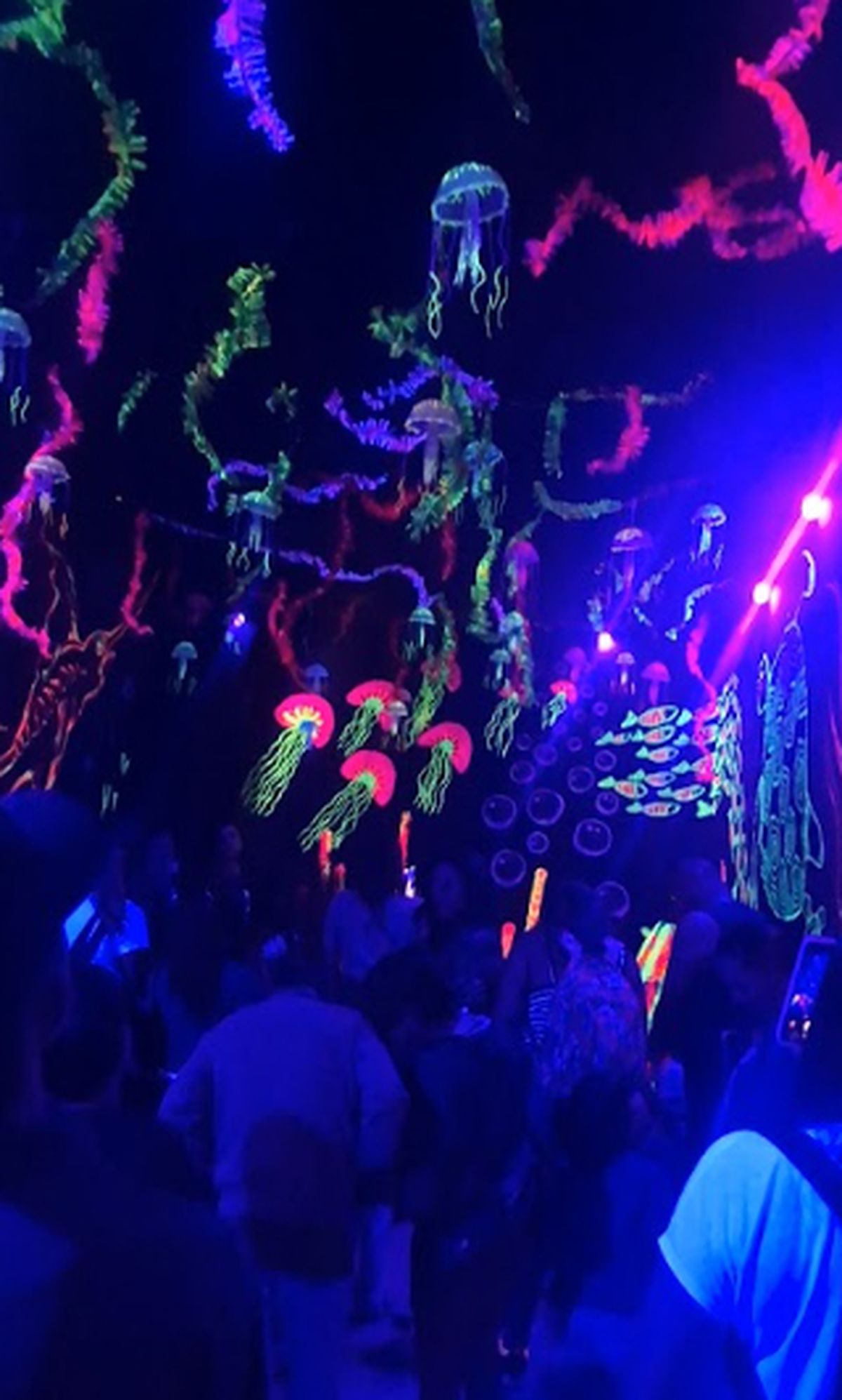 Las medusas son un atractivo aparte de la muestra.&nbsp;