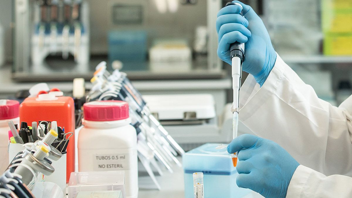 El suero equino contra la Covid-19 fue aprobado en Argentina por la ANMAT.