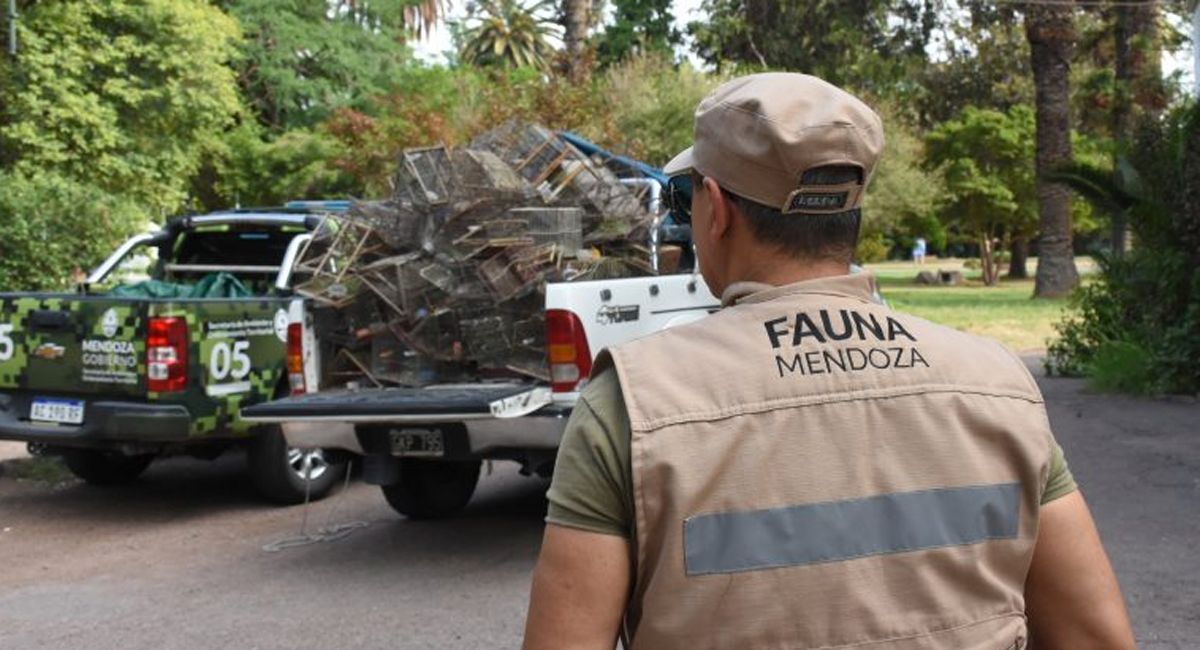 Recursos Naturales Renovables, dependiente de la Secretaría de Ambiente