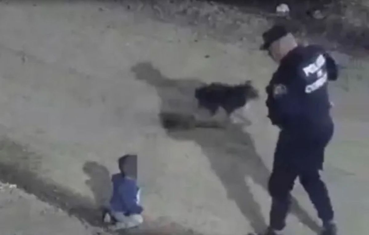 Los padres del bebé que gateó solo y de noche dieron una llamativa justificación. Los padres del bebé que gateó solo y de noche dieron una llamativa justificación.