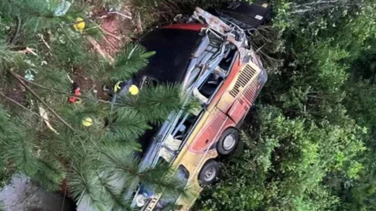 Un colectivo cayó desde un barranco en Misiones. Hasta el momento se lamenta la perdida de 9 vidas. Un colectivo cayó desde un barranco en Misiones. Hasta el momento se lamenta la perdida de 9 vidas.
