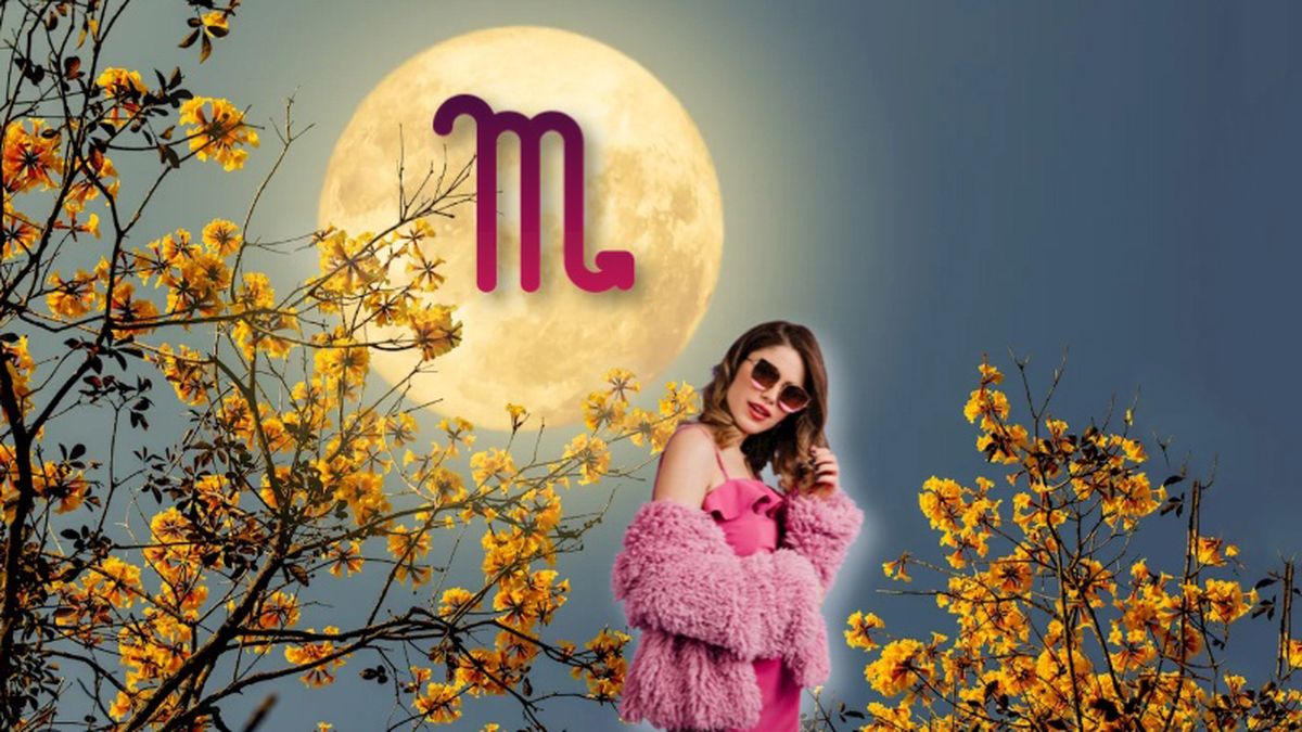 Astrología: los 5 signos que brillarán con el ingreso de la Luna en Escorpio. Astrología: los 5 signos que brillarán con el ingreso de la Luna en Escorpio.