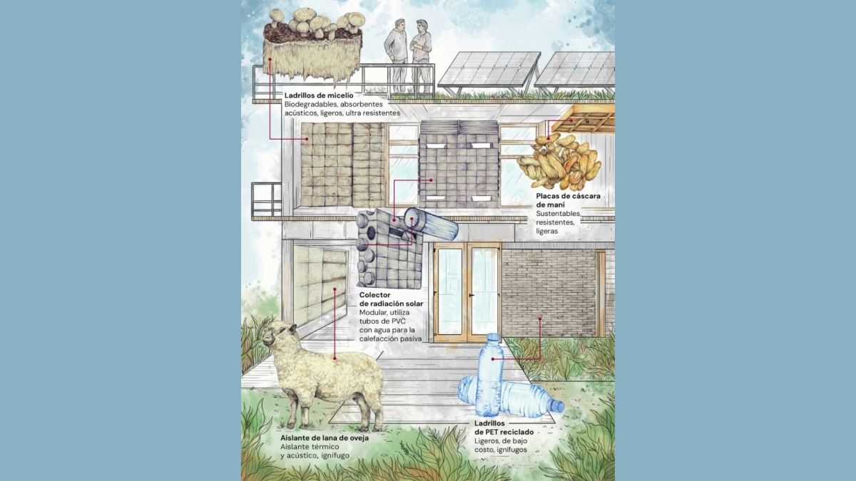 El Centro de Energías Renovables de la provincia argentina de Buenos Aires, que pronto abrirá sus puertas, se ha construido utilizando técnicas y materiales respetuosos con el medioambiente, como lana de oveja, micelio y cáscaras de maní (Ilustración: Ricardo Macía Lalinde / Dialogue Earth) El Centro de Energías Renovables de la provincia argentina de Buenos Aires, que pronto abrirá sus puertas, se ha construido utilizando técnicas y materiales respetuosos con el medioambiente, como lana de oveja, micelio y cáscaras de maní (Ilustración: Ricardo Macía Lalinde / Dialogue Earth)
