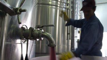 Imputaron a un enólogo por estafar a un empresario al venderle un vino de menor calidad Imputaron a un enólogo por estafar a un empresario al venderle un vino de menor calidad