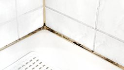 Dile adiós al moho de la silicona de la bañadera en 30 minutos