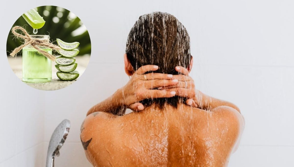El uso del aloe vera en el cabello es altamente recomendado