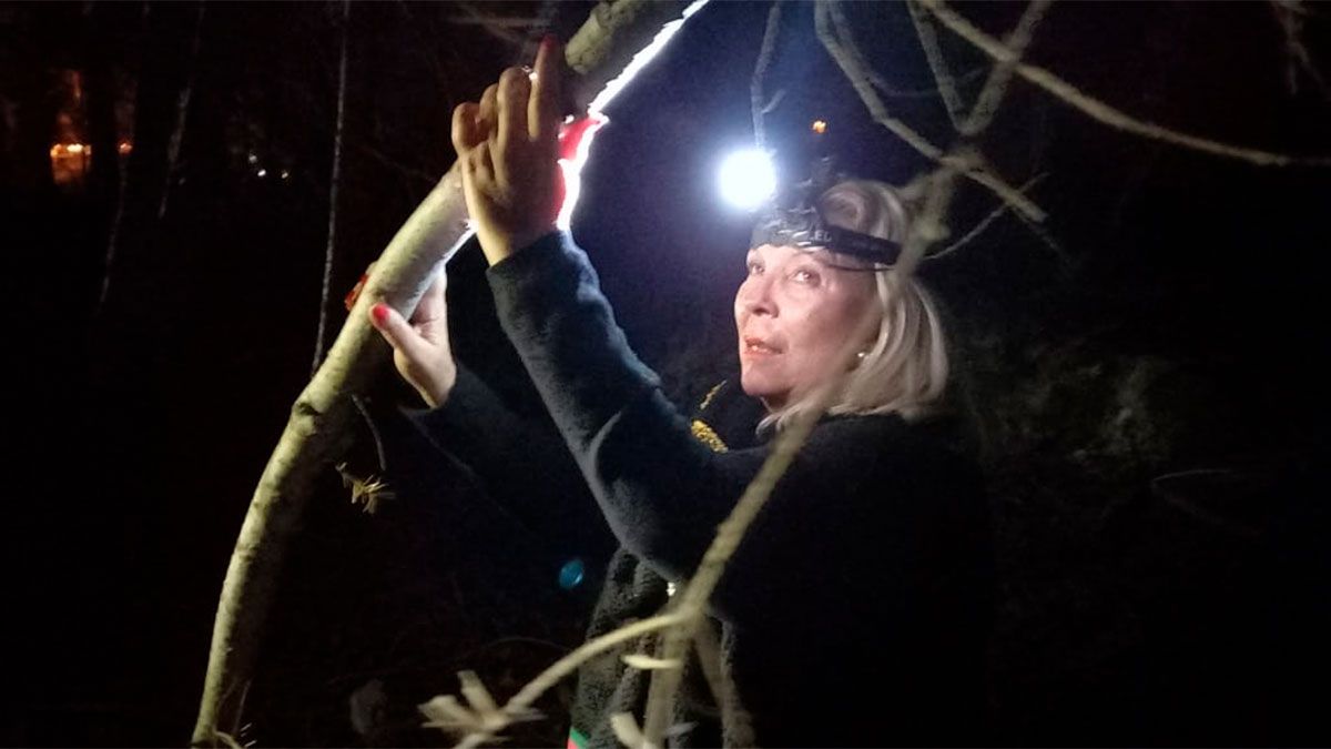 Elisa Carrió, muy irónica: 