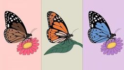 Test de personalidad: elige una mariposa y descubre cómo te ven lo demás