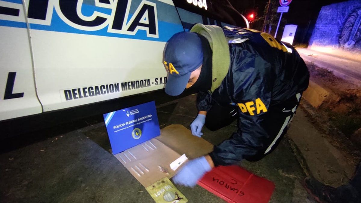 La red de abuso sexual de menores se desbarató en el operativo más grande realizado en el país en 6 provincias, tras una larga investigación.&nbsp;