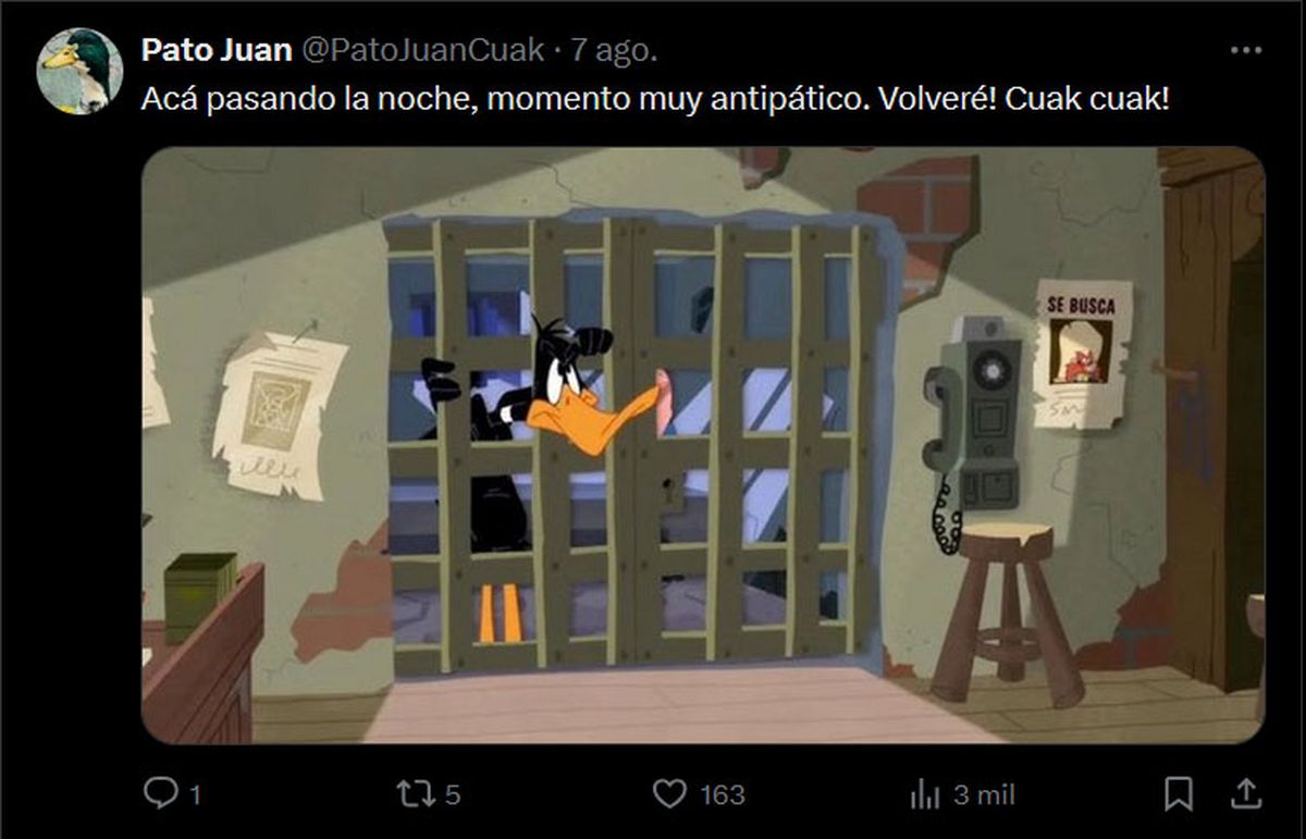 El perfil que le hicieron en X al pato Juan, en el cual el animal recibe mucho afecto de los mendocinos que lo apoyan. El perfil que le hicieron en X al pato Juan, en el cual el animal recibe mucho afecto de los mendocinos que lo apoyan.