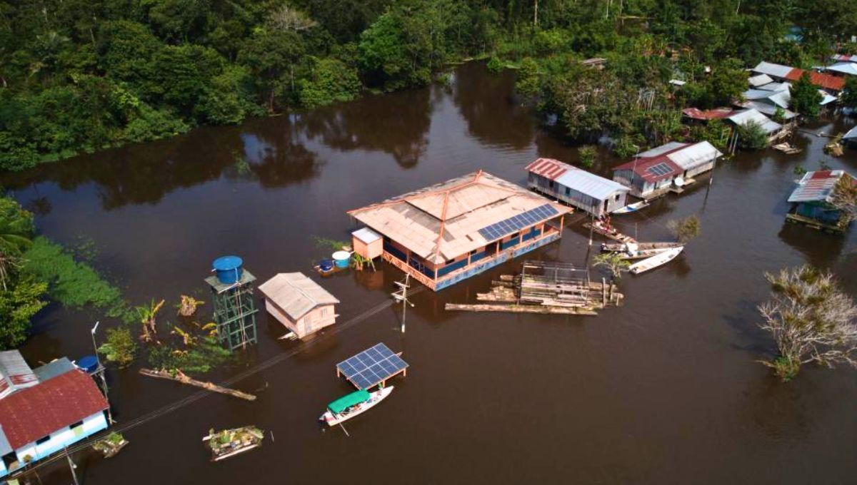 A pesar de atravesar media Sudamérica, no hay ningún puente que cruce el río debido a la gran cuenca selvática de las orillas que lo enmarcan. De hecho, la imagen muestra una inundación en sus alrededores. Fuente: IRD le Mag. A pesar de atravesar media Sudamérica, no hay ningún puente que cruce el río debido a la gran cuenca selvática de las orillas que lo enmarcan. De hecho, la imagen muestra una inundación en sus alrededores. Fuente: IRD le Mag.