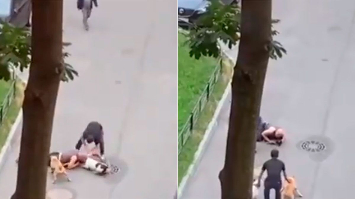 Cubrió a su mascota para protegerlo del ataque de perros