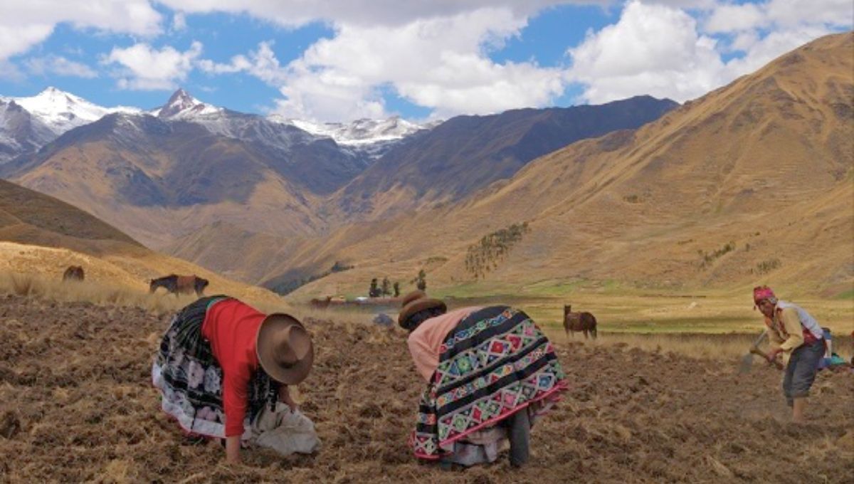 El ADN de los habitantes de los pueblos de los Andes muestra una ventaja evolutiva frente a condiciones extremas