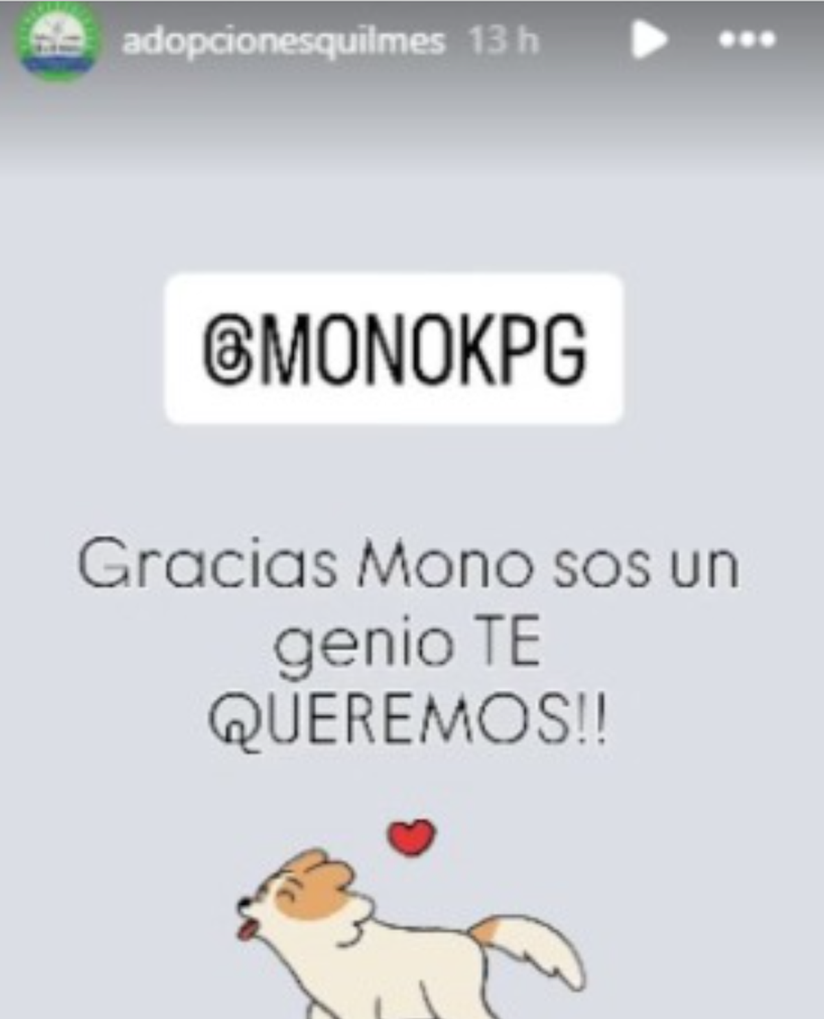 ¡Grande Mono!: el Mono de Kapanga ganó 2 millones de pesos en el Pasapalabra y los donó a un refugio de animales ¡Grande Mono!: el Mono de Kapanga ganó 2 millones de pesos en el Pasapalabra y los donó a un refugio de animales