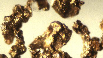 Bacterias, las nuevas mineras
