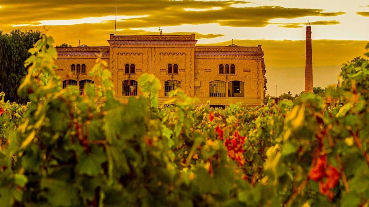 El Grupo Peñaflor dio el primer paso con la importación de vino de Chile que concretó días atrás y por la que adquirió 4 millones de litros de vino genérico.