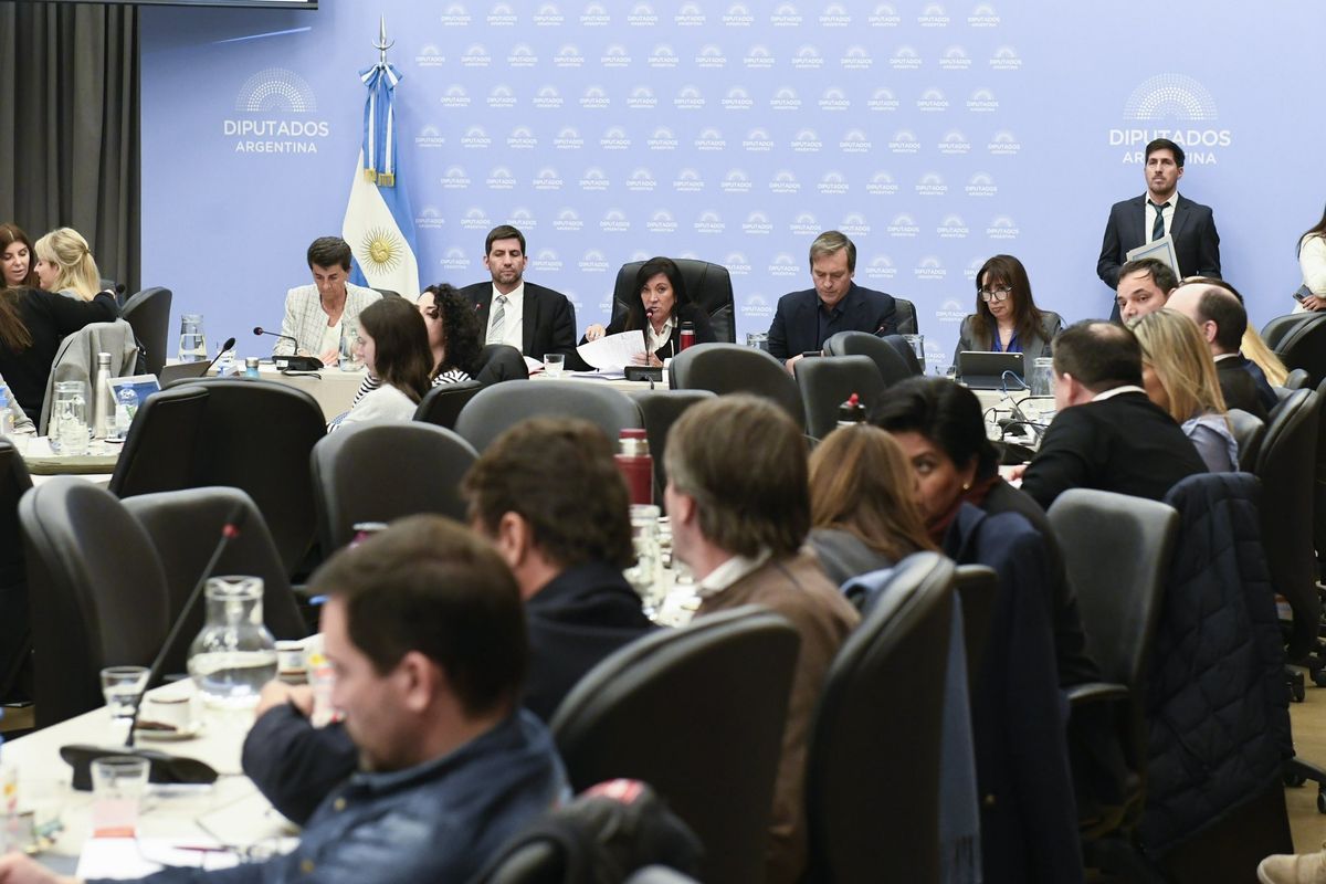 Hubo diversas propuetas sobre la baja de la edad de imputabilidad. Hubo diversas propuetas sobre la baja de la edad de imputabilidad.