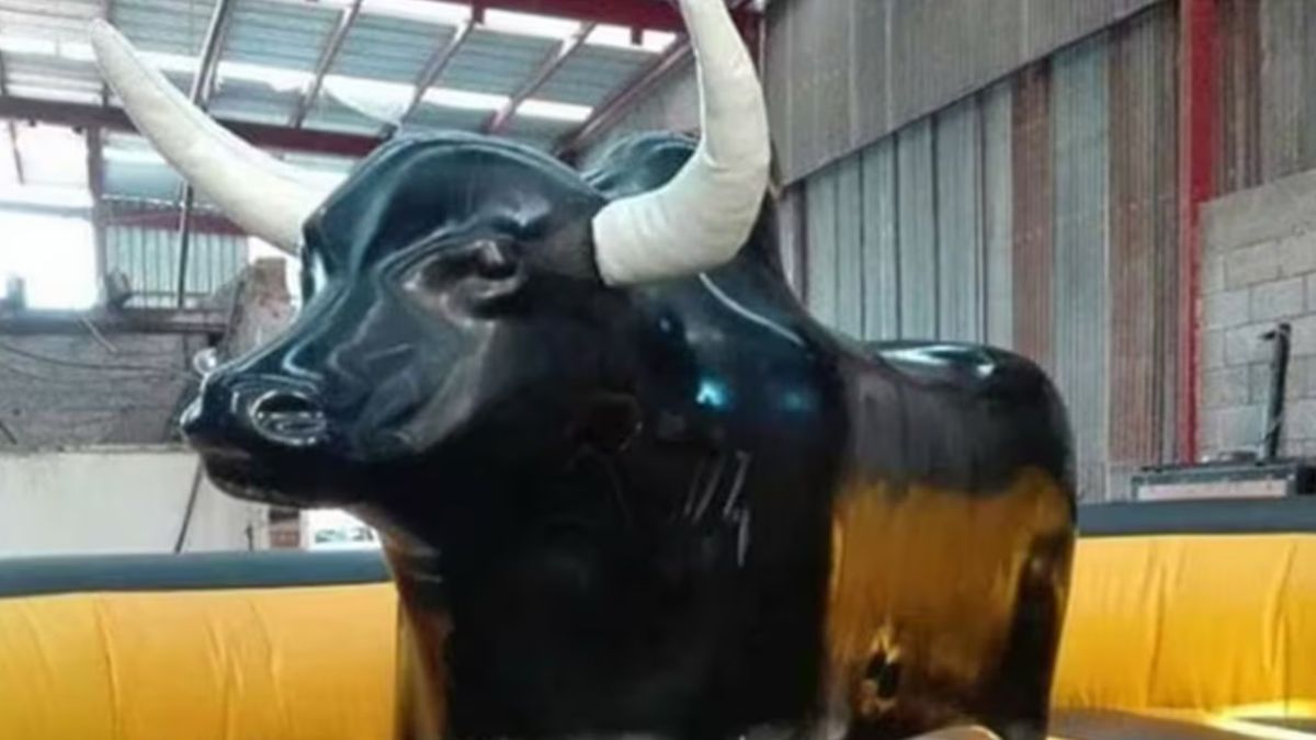 El toro mecánico en el que jugaba la nena de 7 años que murió al ser despedida y golpearse contra el piso El toro mecánico en el que jugaba la nena de 7 años que murió al ser despedida y golpearse contra el piso