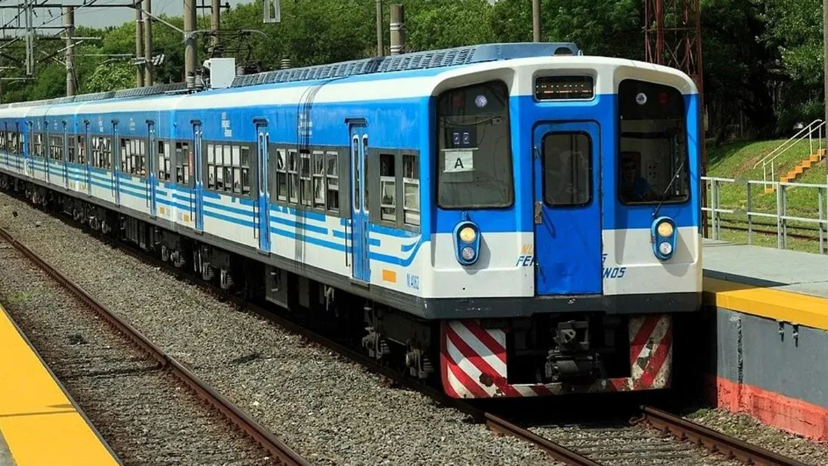 El maquinista del tren del ferrocarril Roca no pudo evitar embertir al niño, en Florencio Varela, que se soltó de la mano de su mamá