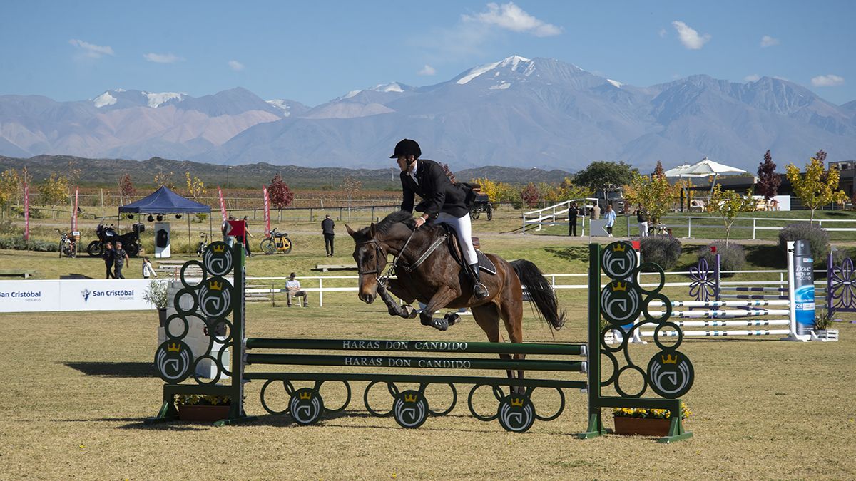 En Casa David Wines and Horses se crían caballos de salto, poseen una veterinaria, que se dedican a la parte reproductiva de los animales, que incluye servicios de gestación, además se llevan adelante las tareas de entrenamiento y cuidado.