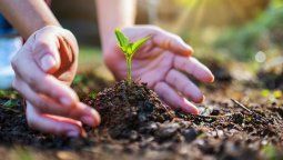 Día de la Tierra: qué se puede hacer para cuidar el planeta