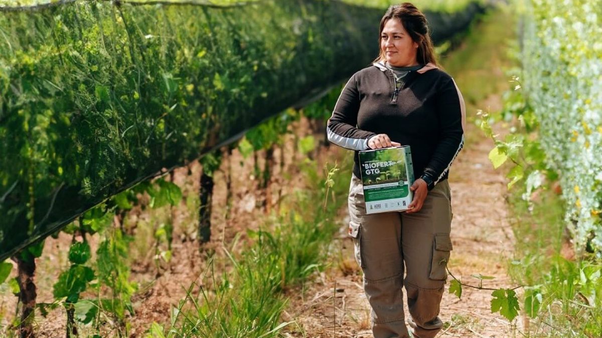 Agro Sustentable -misionera- y Astié Diesel -mendocina- son las compañías que hicieron ensayos supervisados por la ONU. Agro Sustentable -misionera- y Astié Diesel -mendocina- son las compañías que hicieron ensayos supervisados por la ONU.