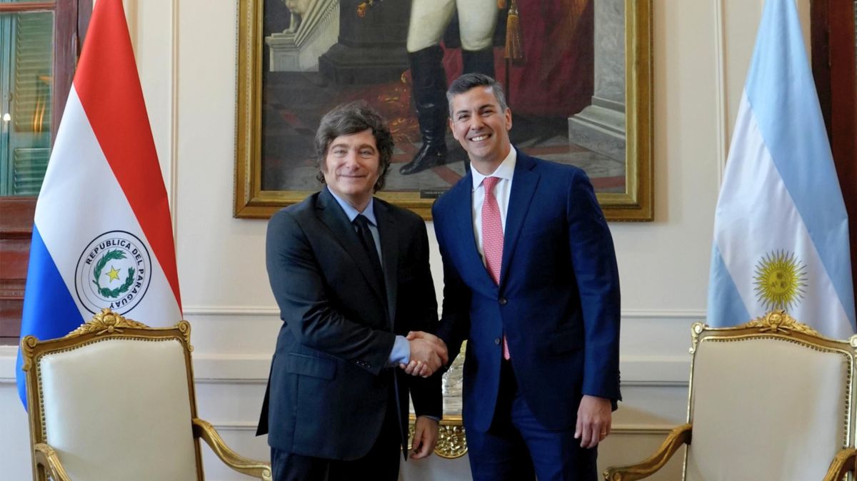 Javier Milei y su par de Paraguay