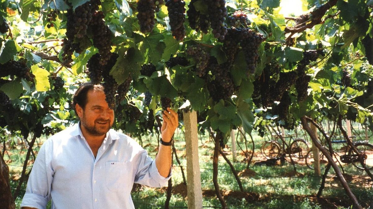Rolland, toda una vida dedicada al vino. Rolland, toda una vida dedicada al vino.