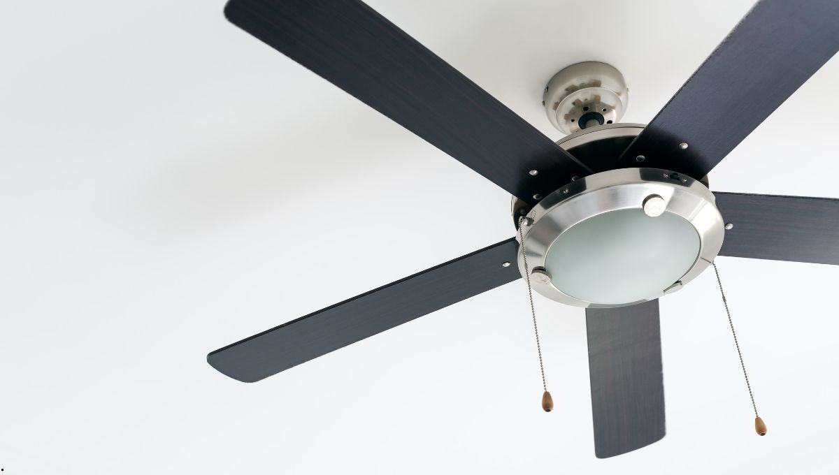 ¿Ventilador de pie o de techo? Descubre cuál consume más energía y cuál es la mejor opción de ahorro