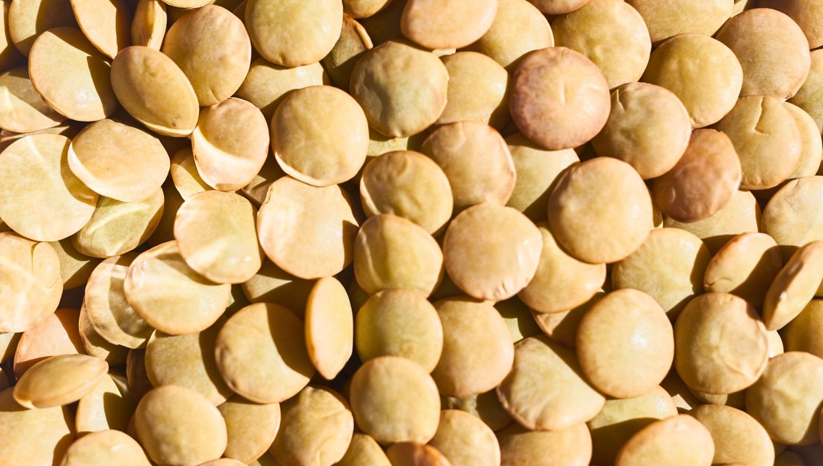 Las lentejas son fuente de proteínas, fibra y minerales Las lentejas son fuente de proteínas, fibra y minerales