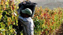 La revisión de la paritaria 2025 para el sector vitivinícola se cierra con un aumento del  9,9% y 12% La revisión de la paritaria 2025 para el sector vitivinícola se cierra con un aumento del  9,9% y 12%